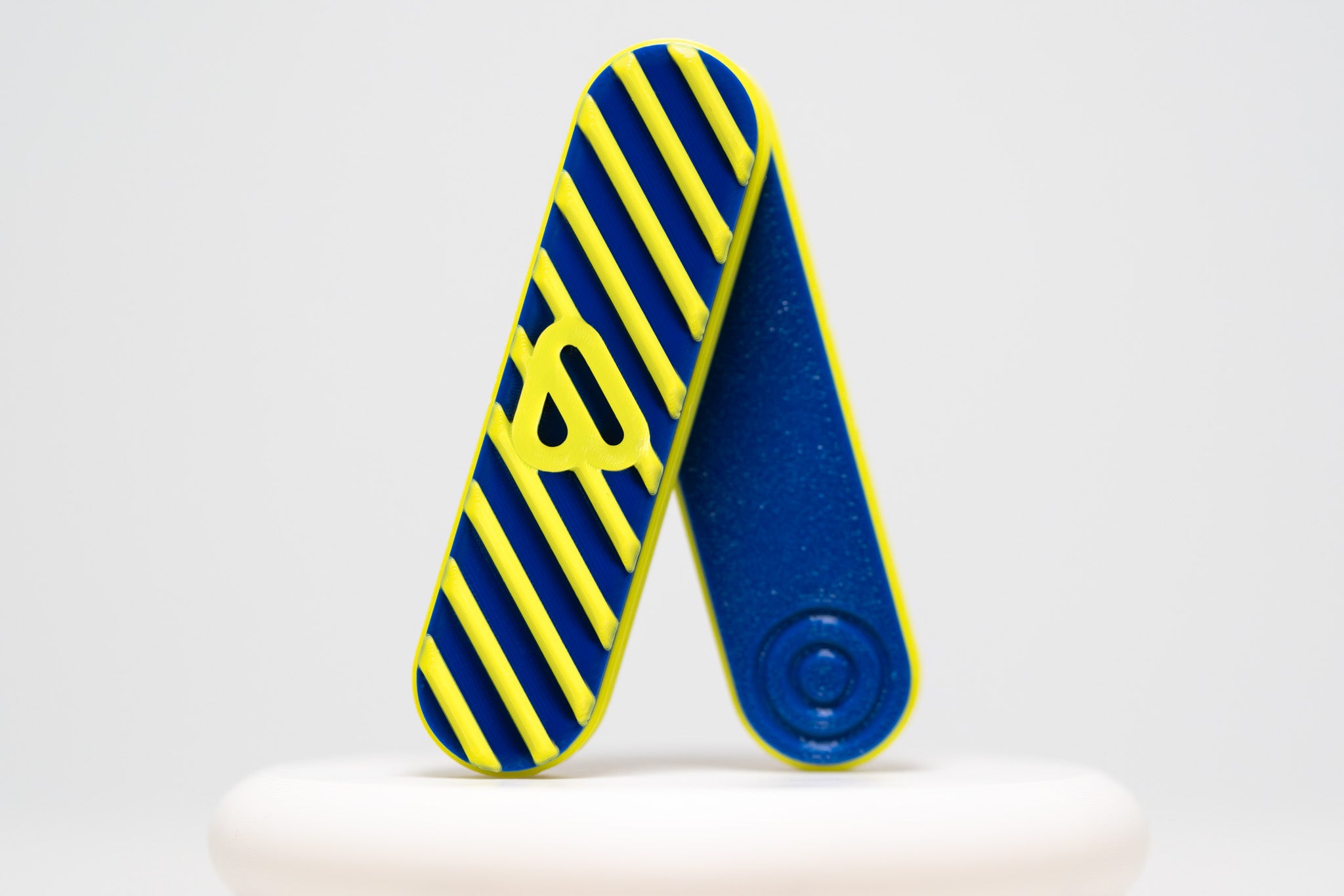 Bidgit (Blue/Lime) with Hard Case