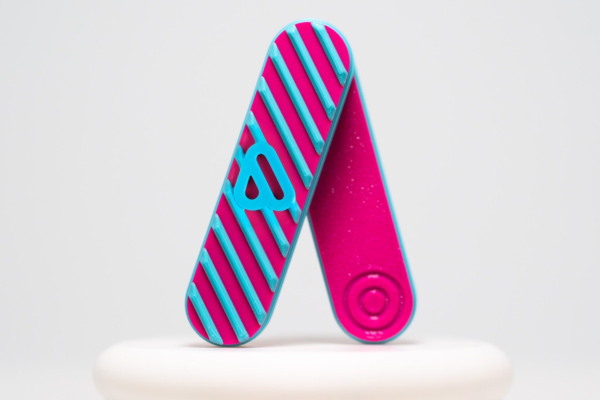 Bidgit (Magenta/Teal) with Hard Case